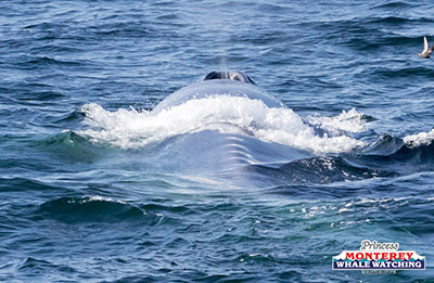 a man riding a wave on a surfboard in the ocean
