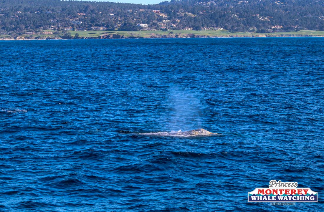 a body of water with a mountain in the background