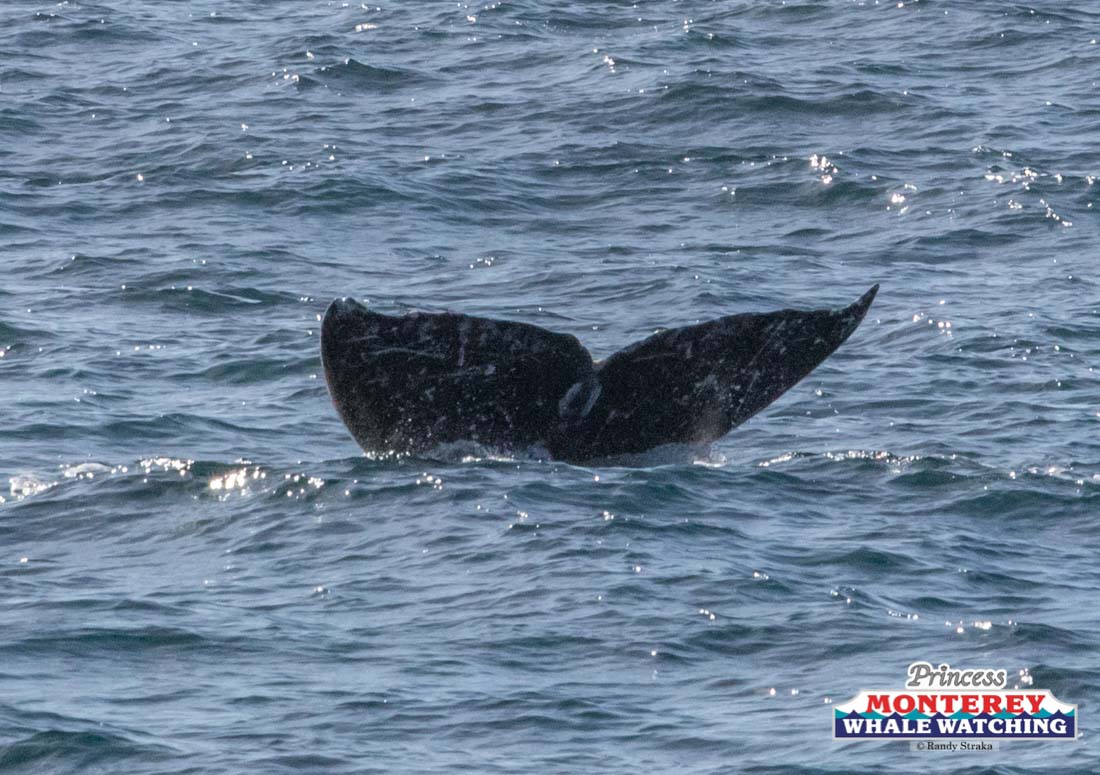 a boat on a body of water