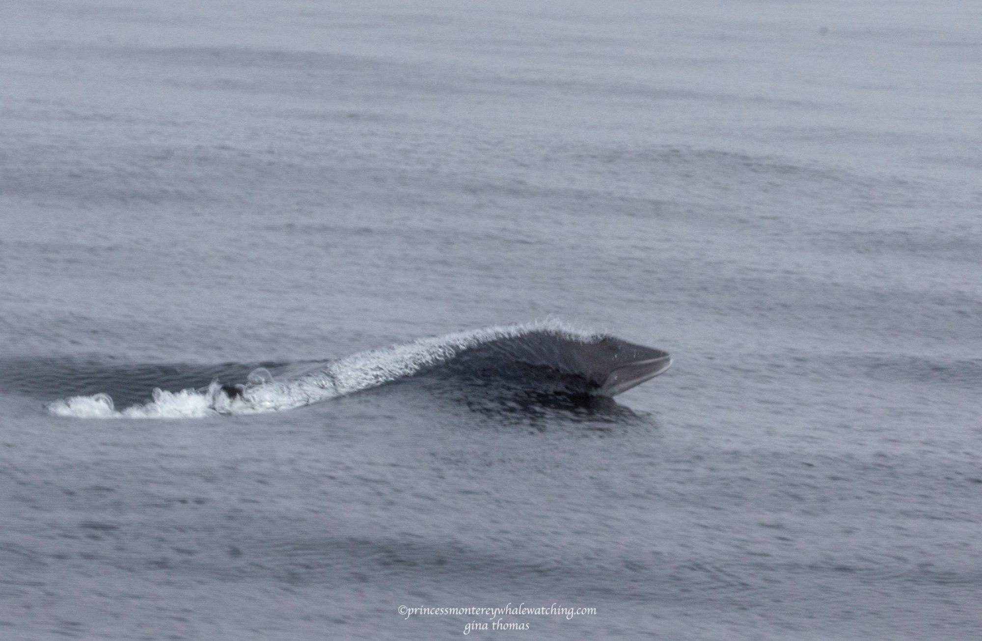 a man riding a wave on top of a body of water