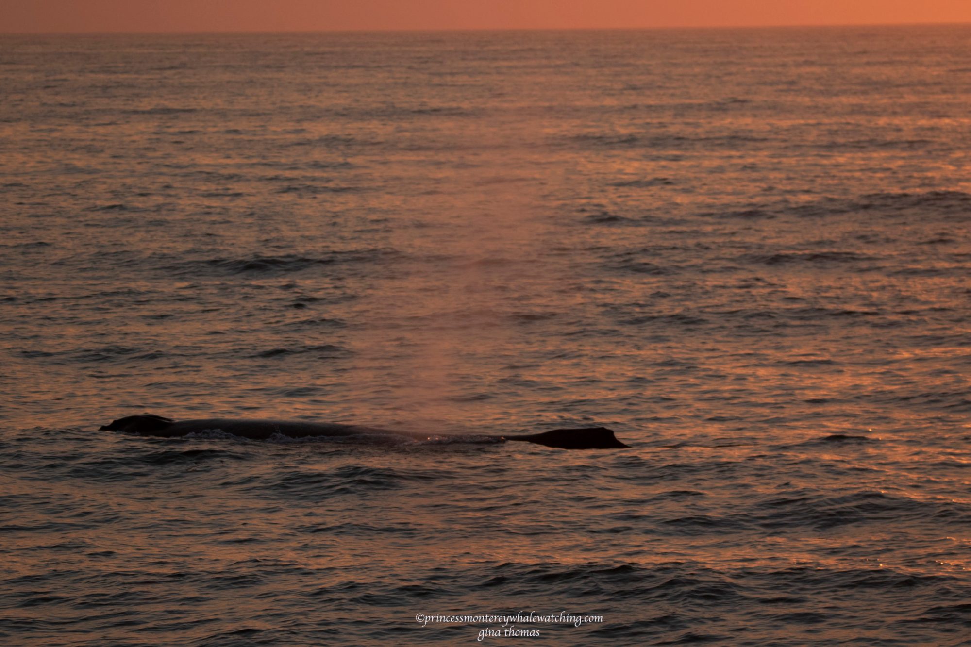 a sunset over a body of water