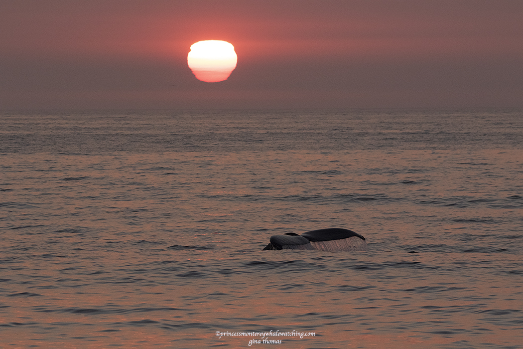 a sunset over a body of water