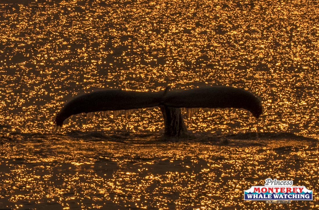 a sunset over a body of water