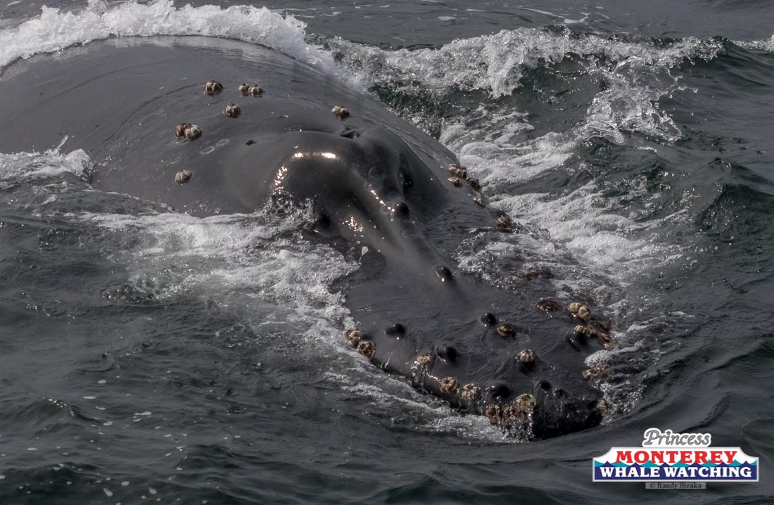 a large body of water