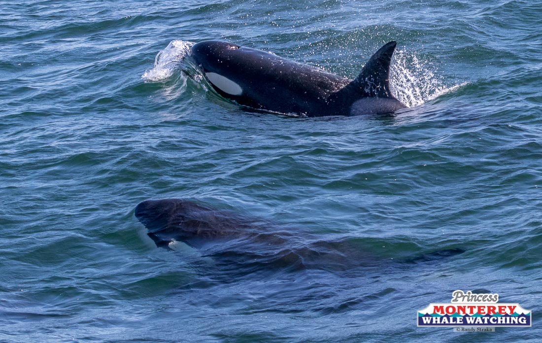 a man riding a wave on a surfboard in the water