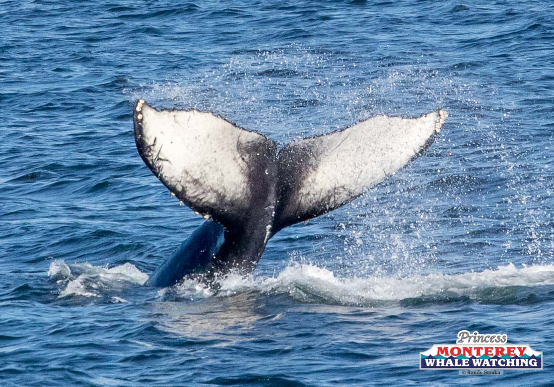 a man riding a wave on a surfboard in the water