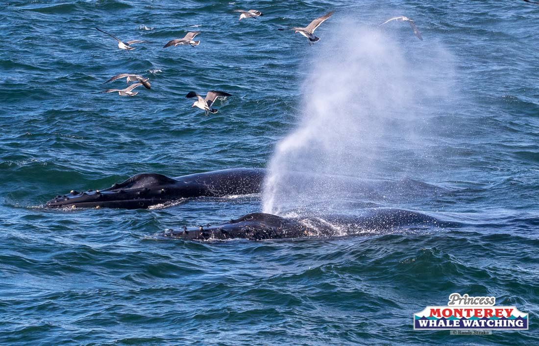 a man riding a wave on a surfboard in the water