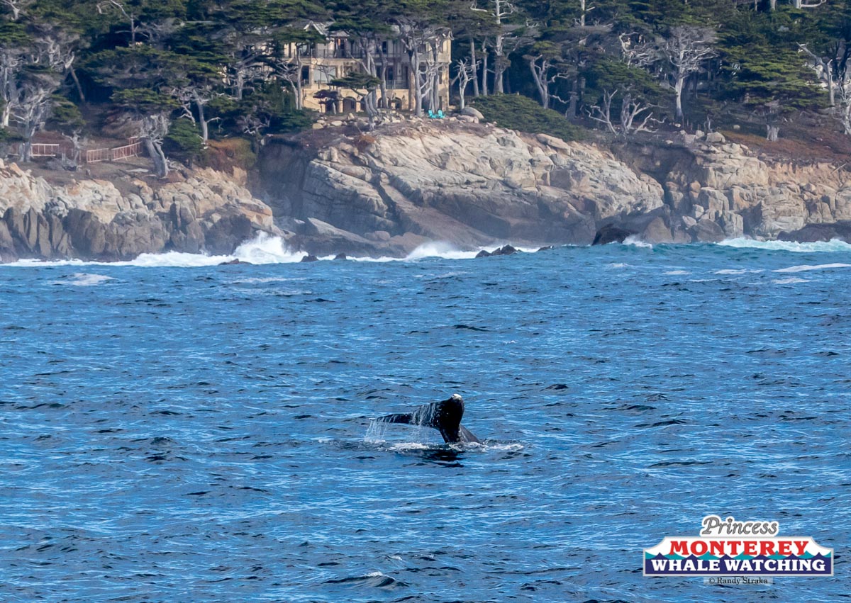 a large body of water with a mountain in the background