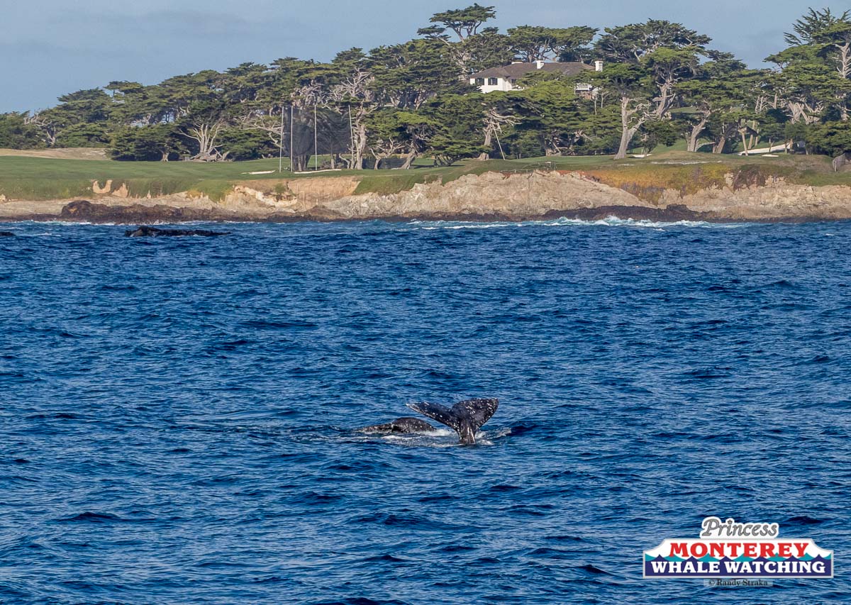 a large body of water