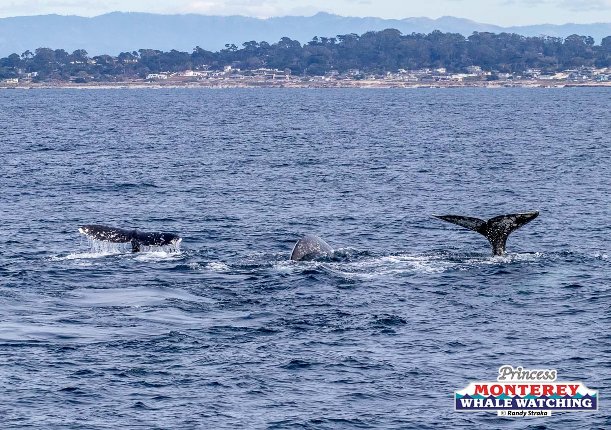 a boat on a body of water