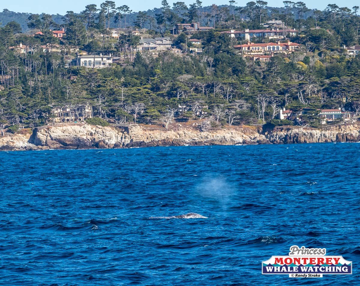 a large body of water with a city in the background