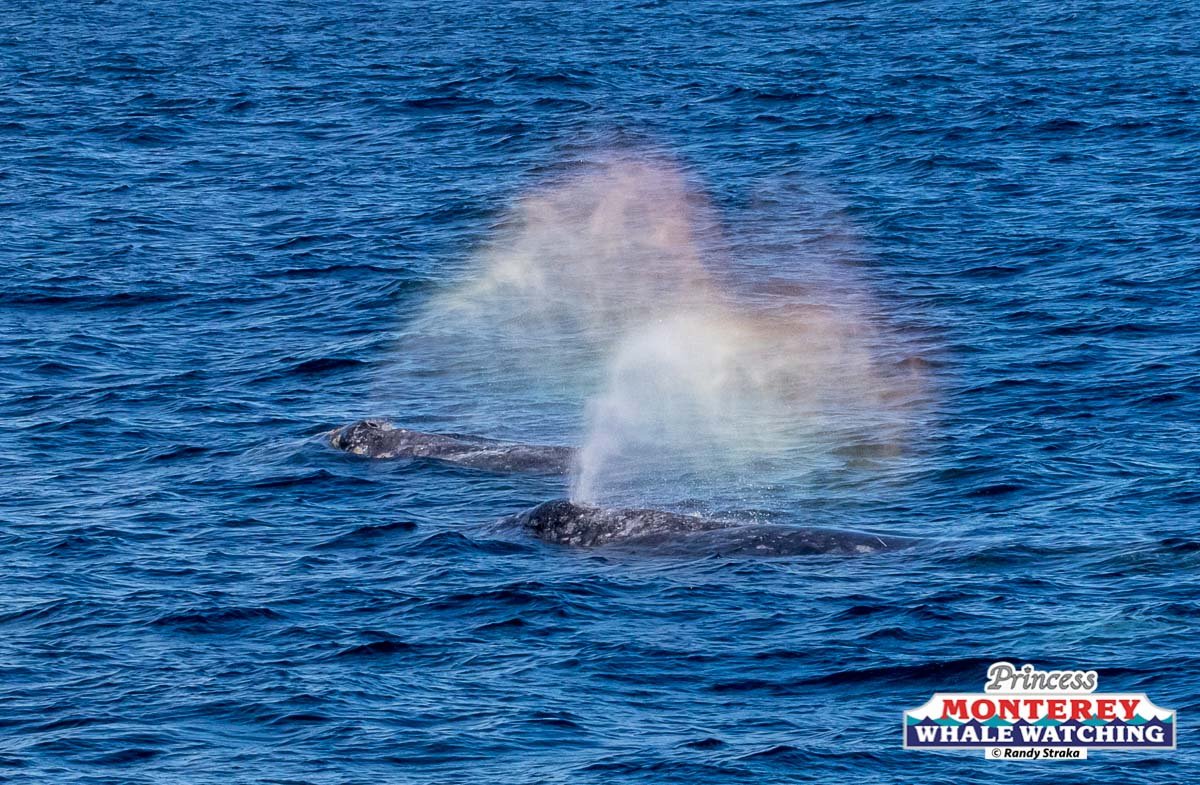 a man flying through the air over a body of water