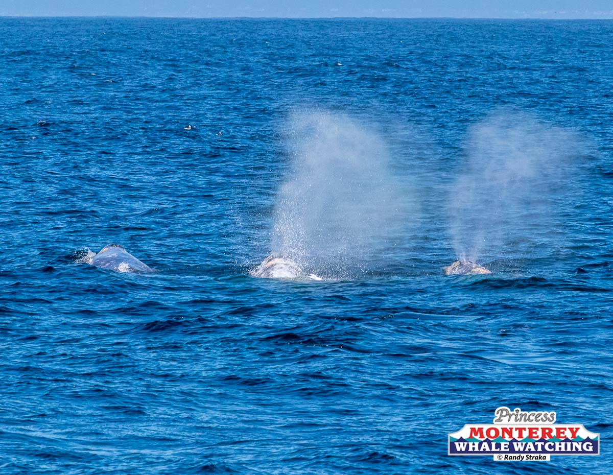 a large body of water