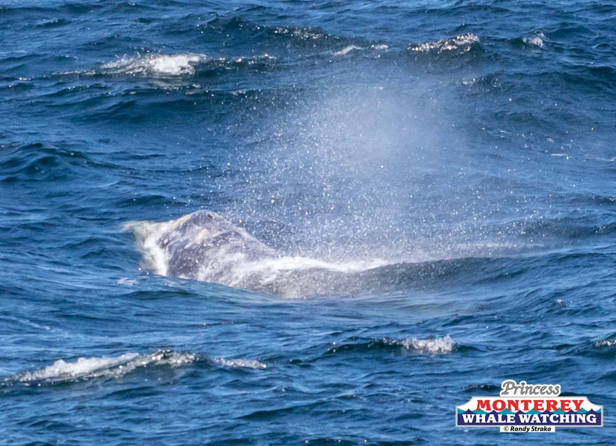 a man riding a wave on a surfboard in the water