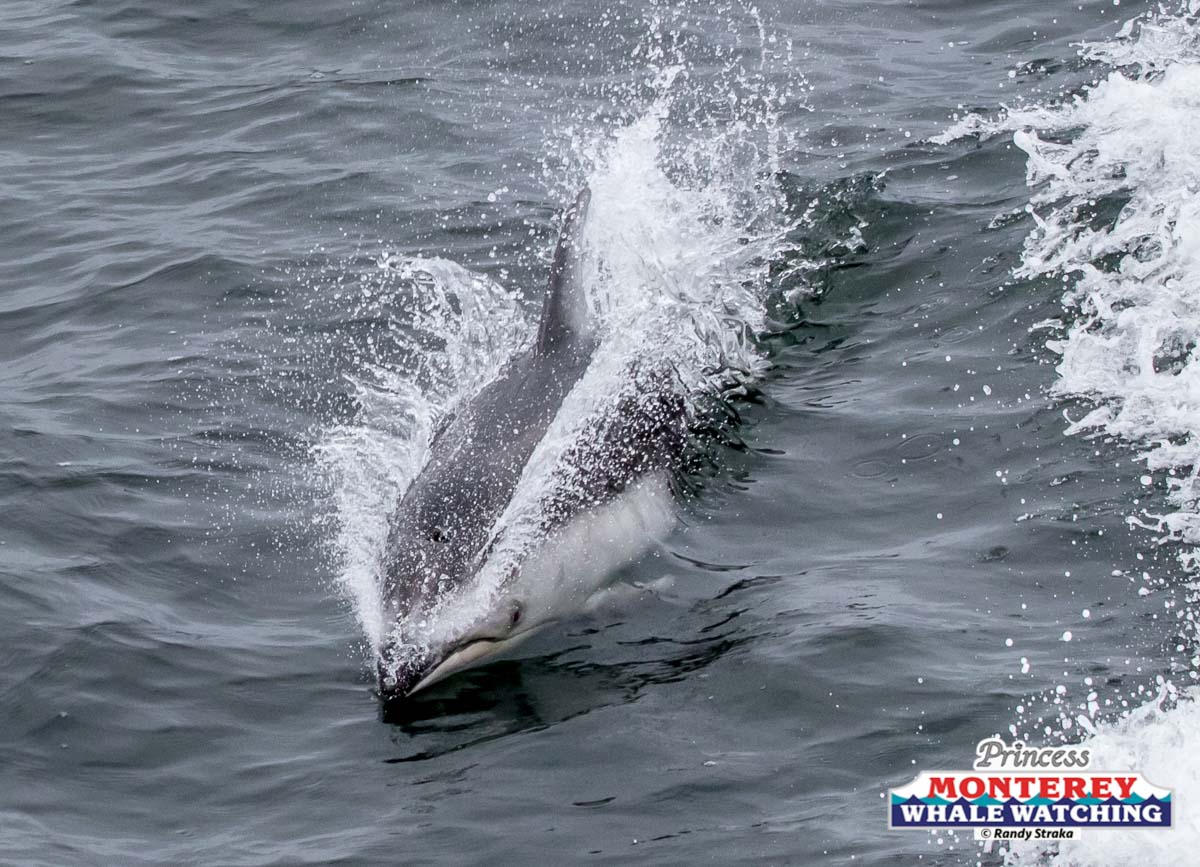 a person riding a wave on a surfboard in the water