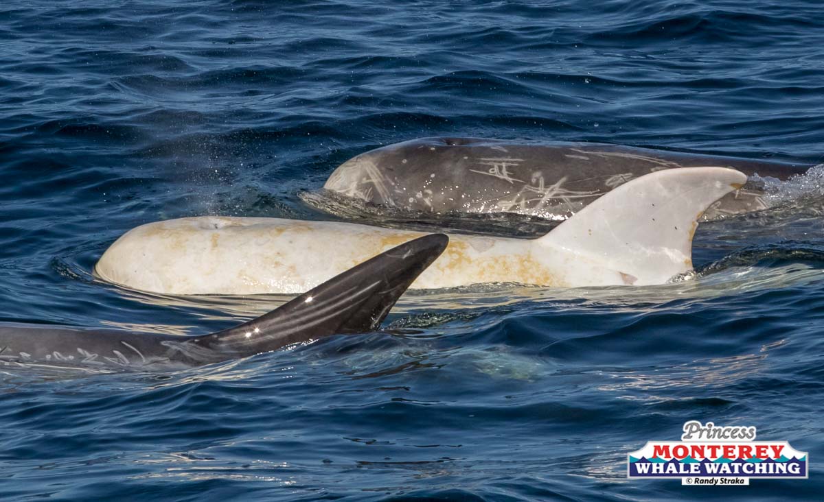 a small boat in a body of water