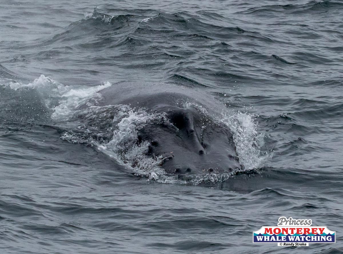 a person riding a wave on a surfboard in the water