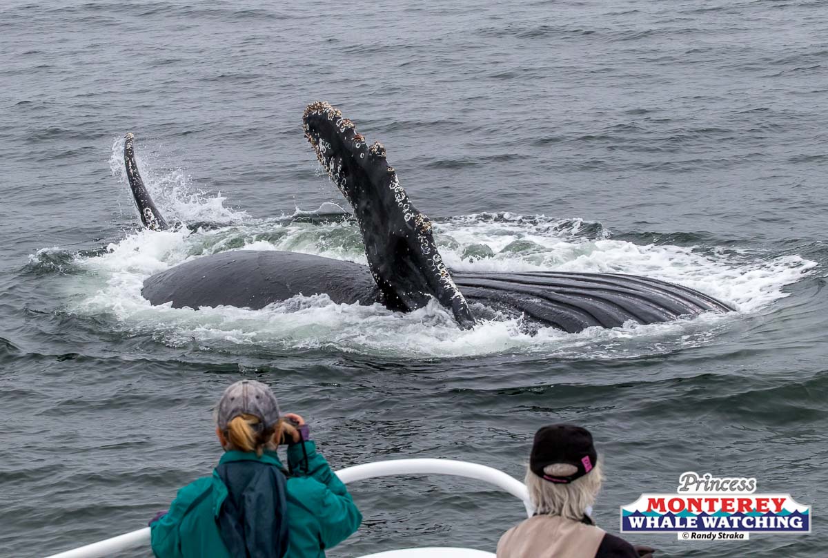 a person standing next to a body of water