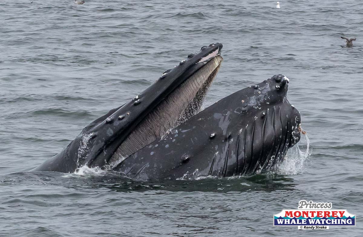 a large ship in a body of water