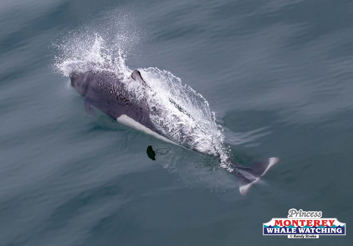 a man riding a wave on a surfboard in the water