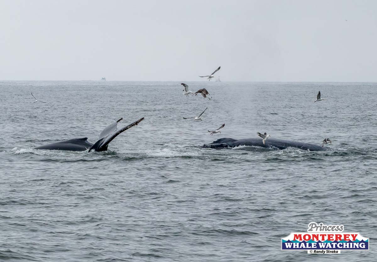 a group of people in a body of water