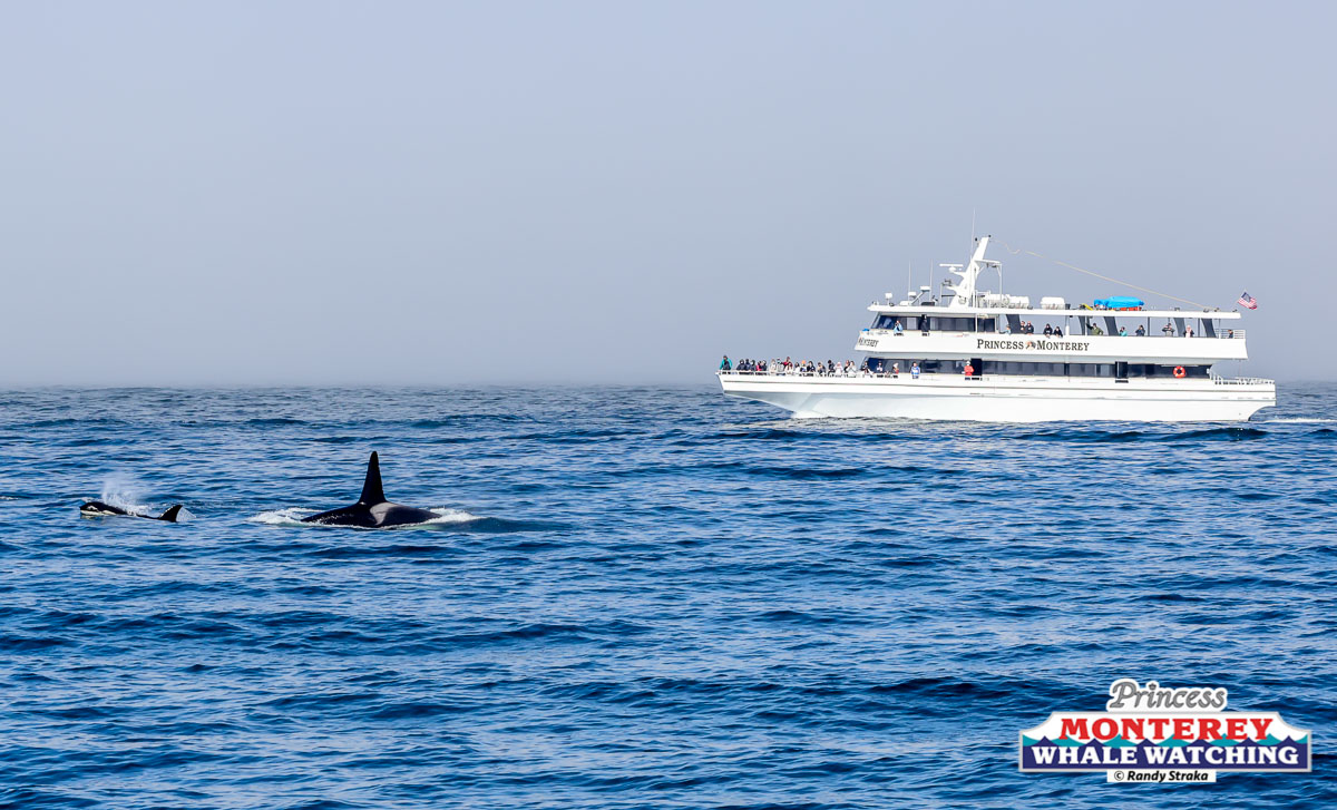 a large ship in a body of water