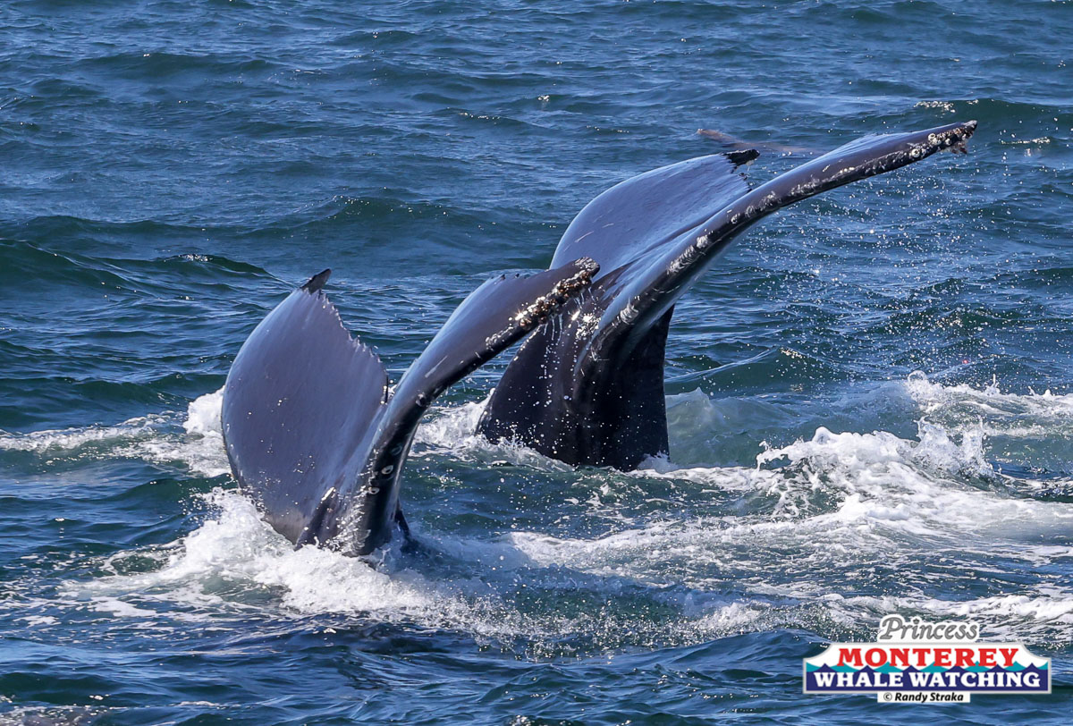 a man riding a wave on a surfboard in the water