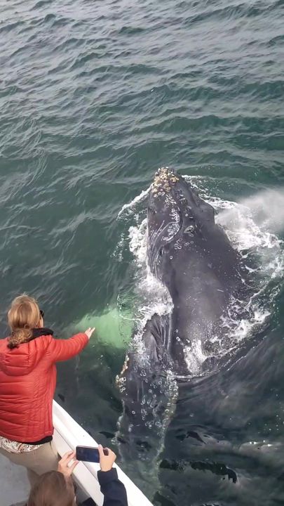 240471871_1250936422016458_1409716862093523807_n