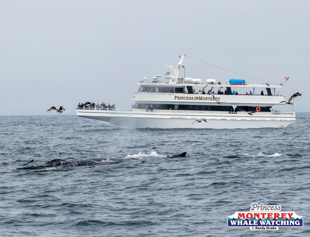 a large ship in a body of water