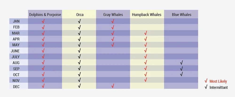 Whale-Watching-Monthly-Chart