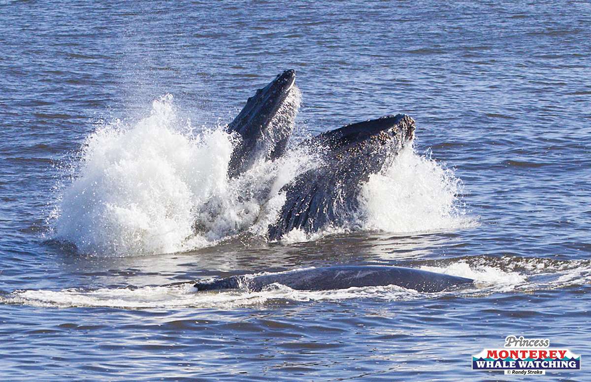 a man riding a wave on top of a body of water