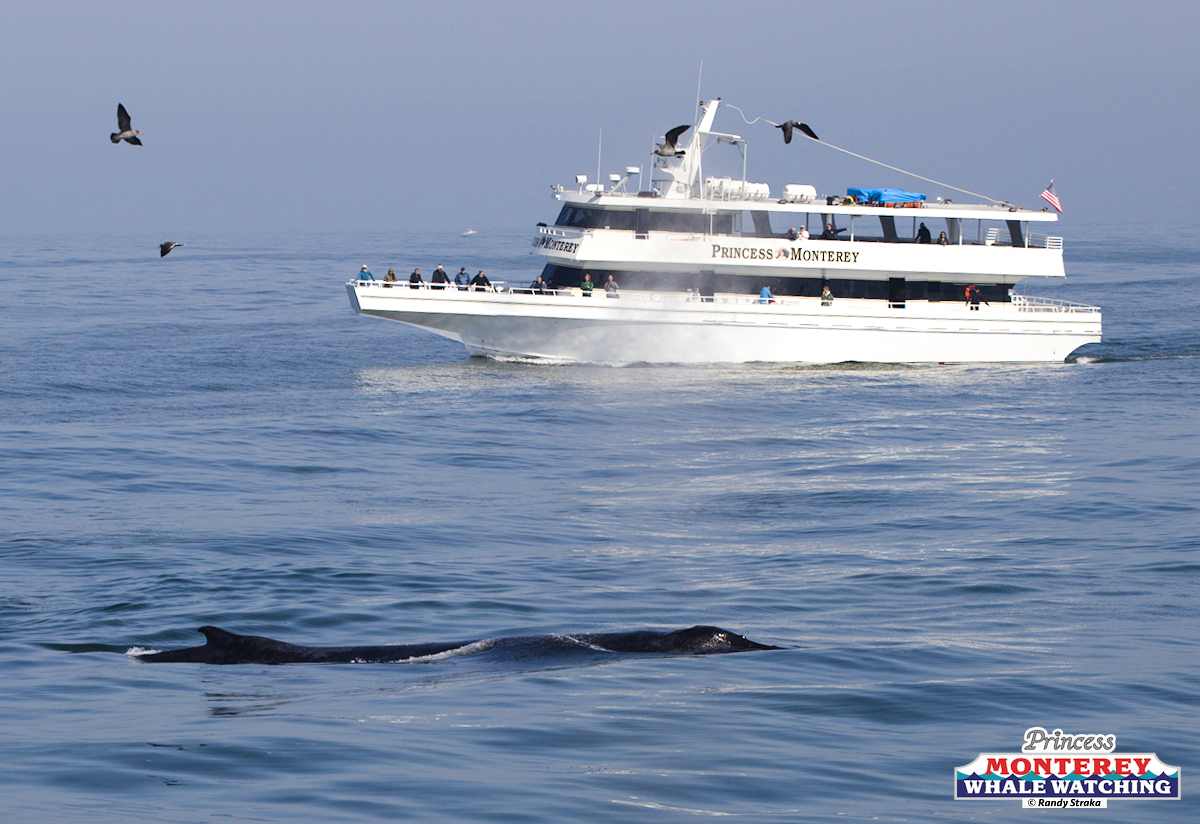 a large ship in a body of water