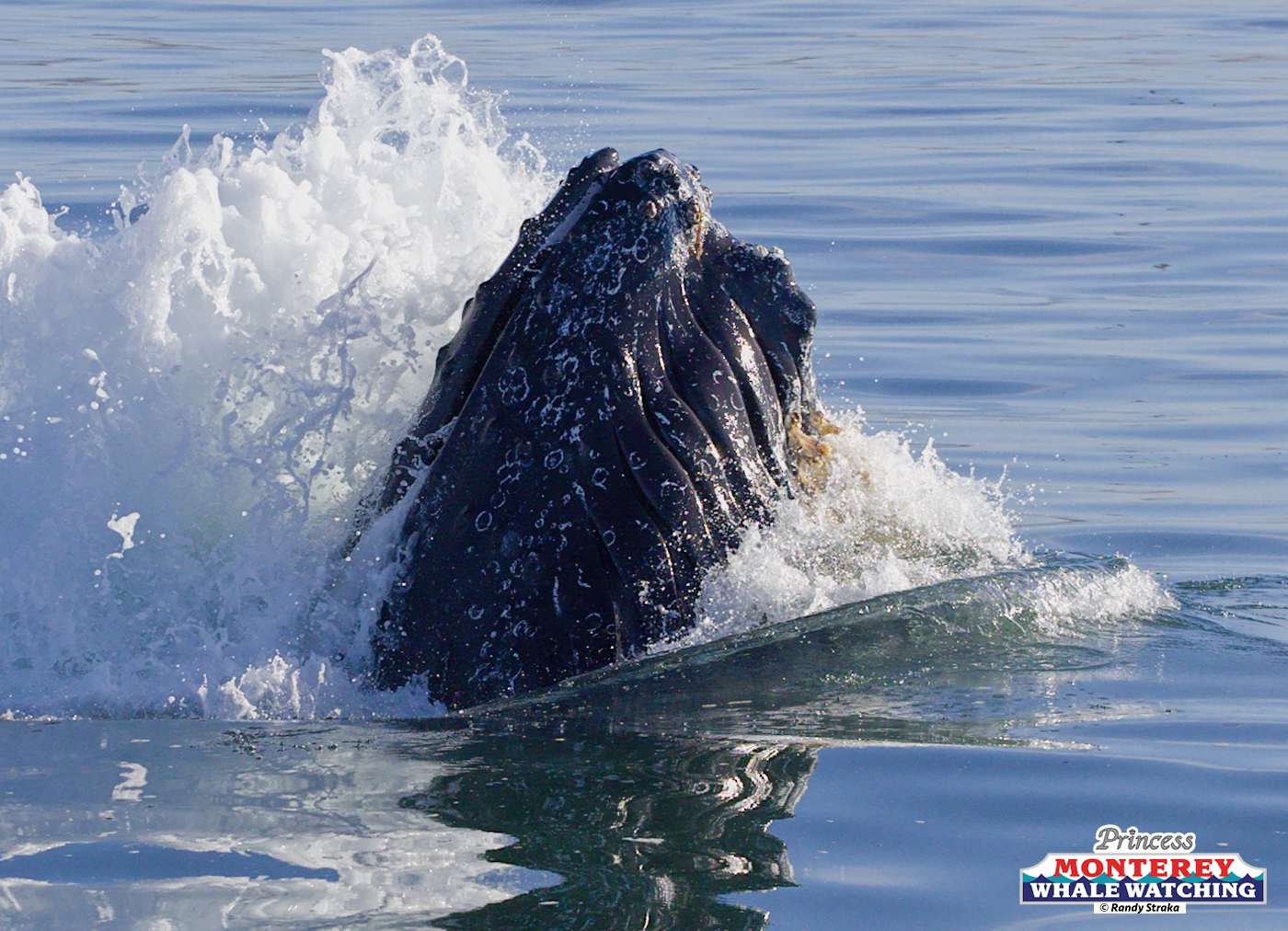 water next to the ocean