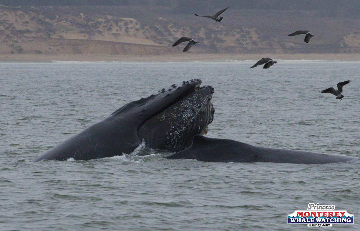 a bird swimming in water next to a body of water