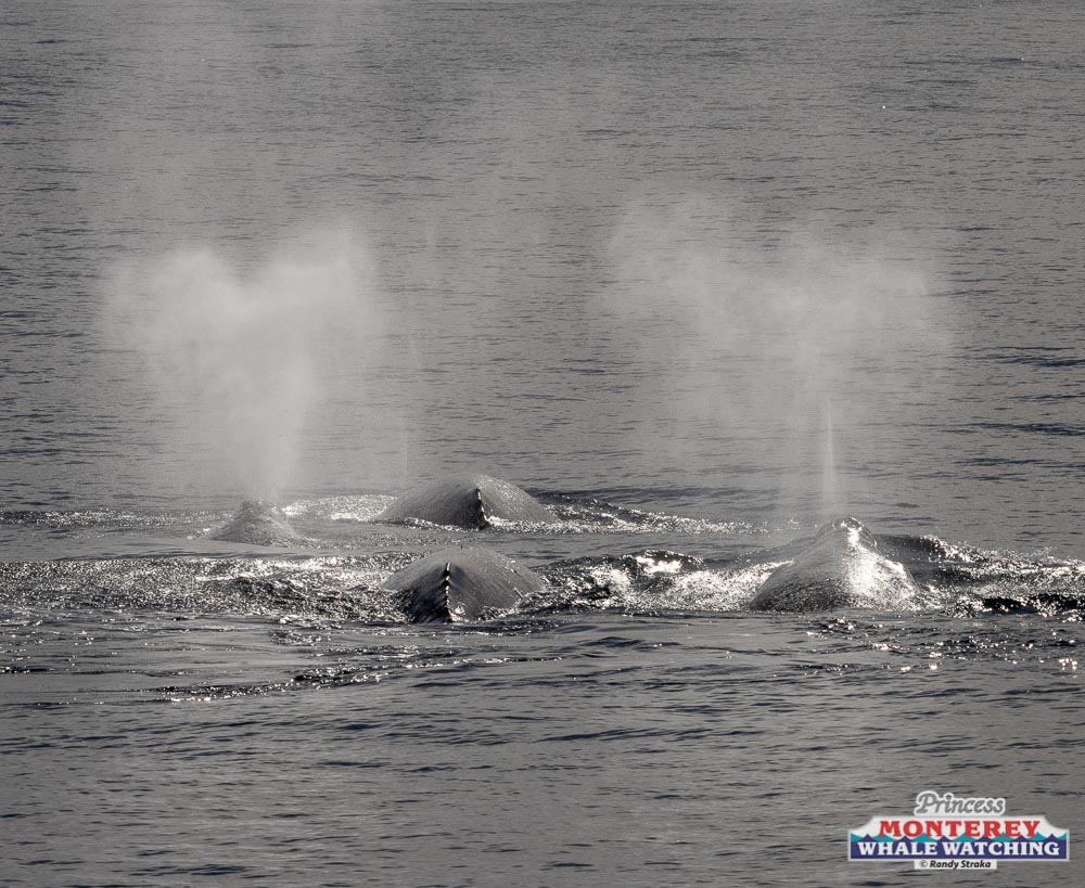 smoke coming out of the water