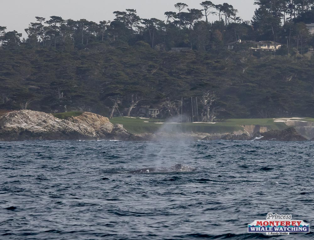 a large body of water