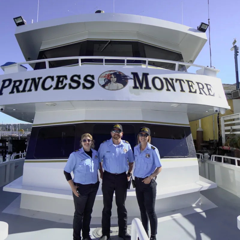 a group of people standing around a plane