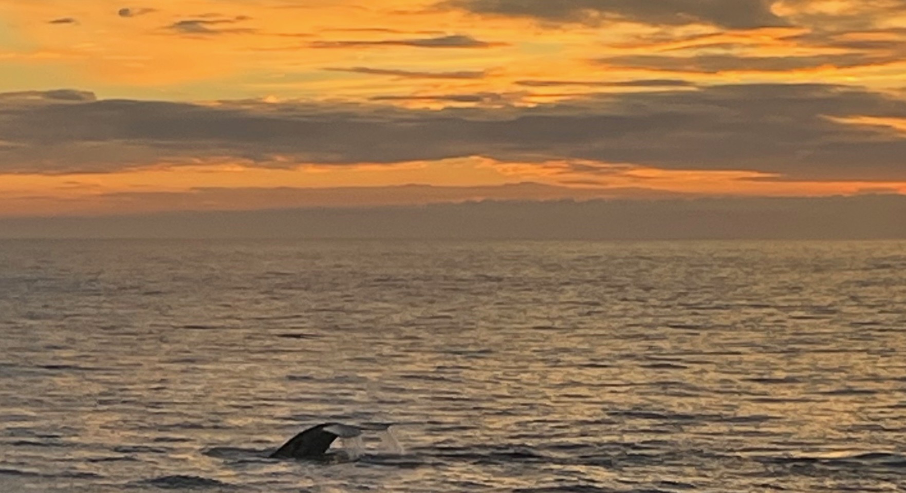 a sunset over a body of water