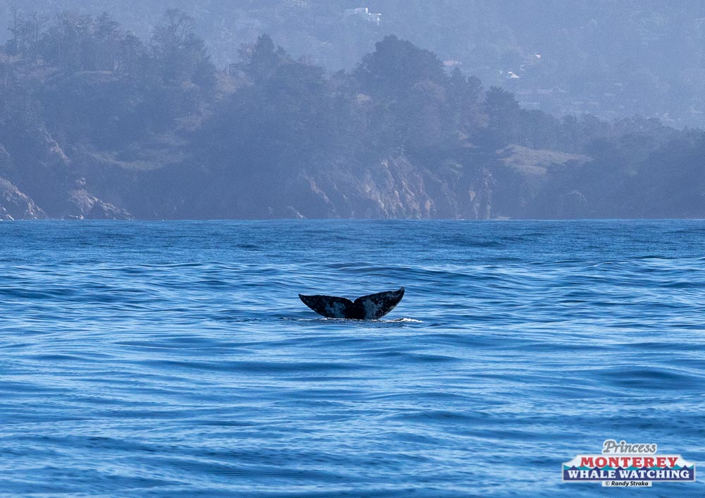 a small boat in a body of water