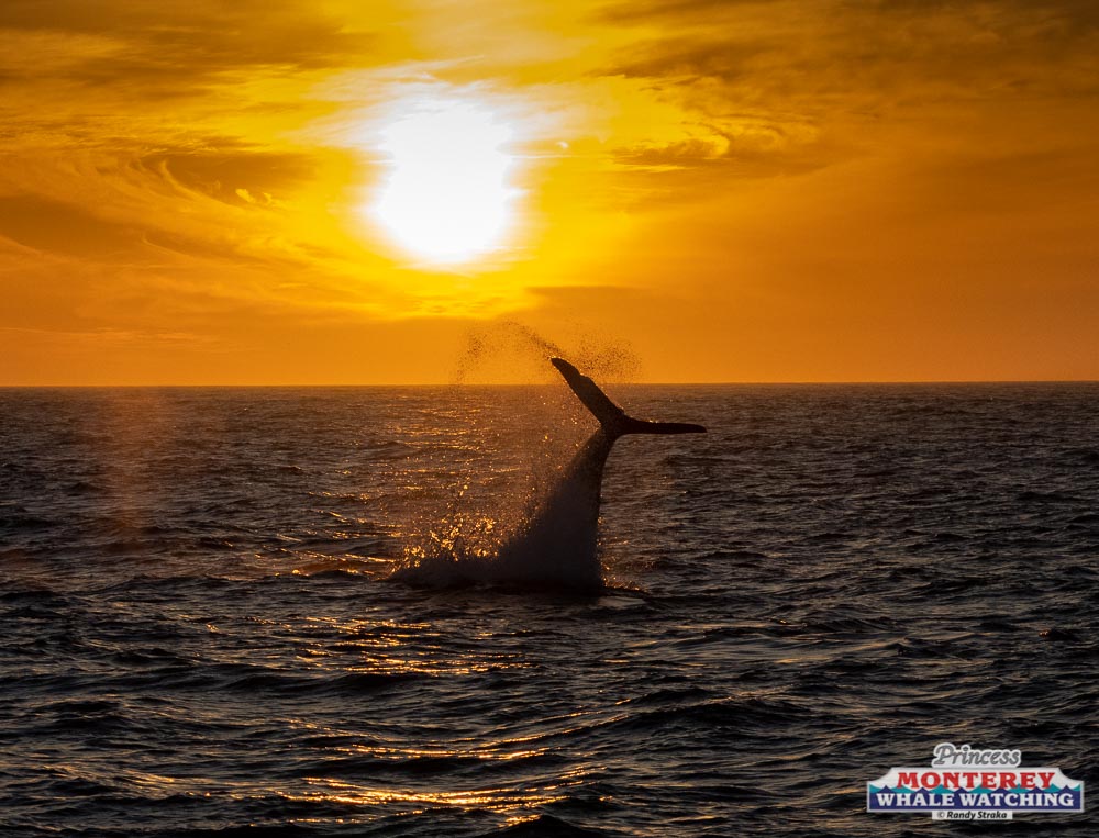 a sunset over a body of water