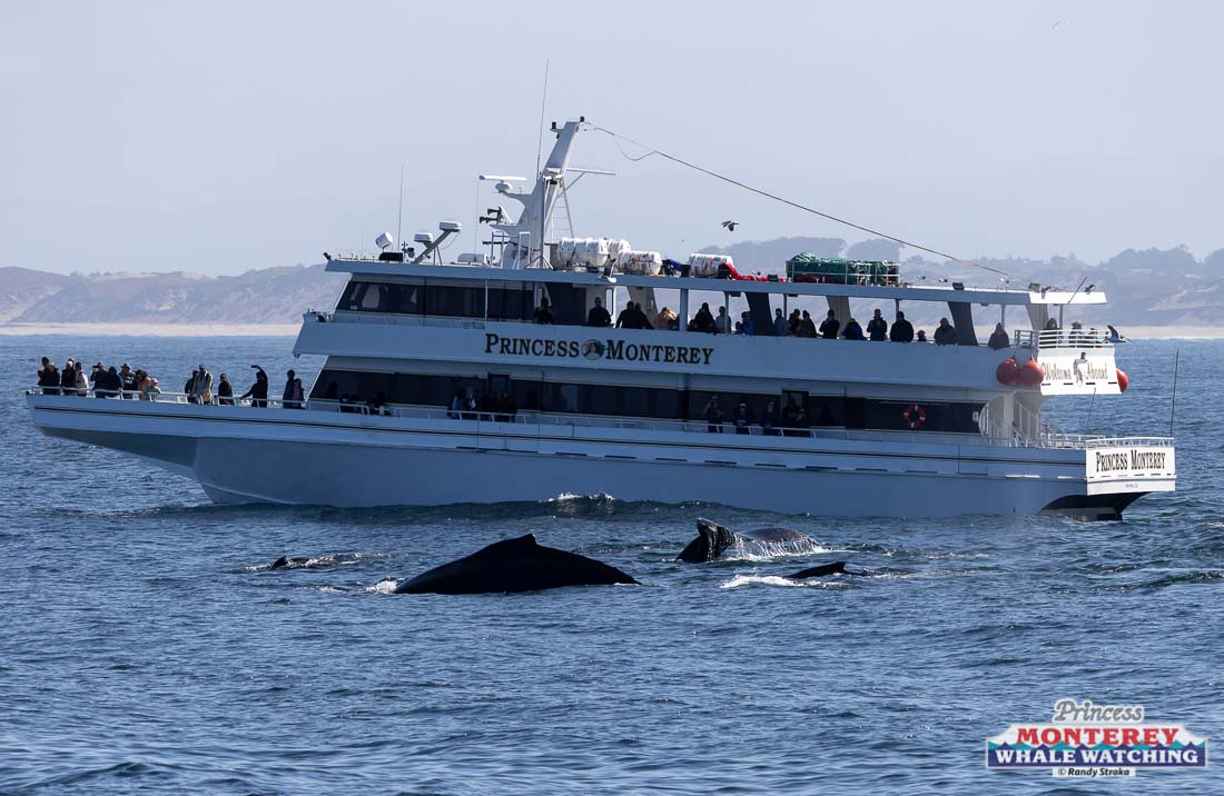 a large ship in a body of water