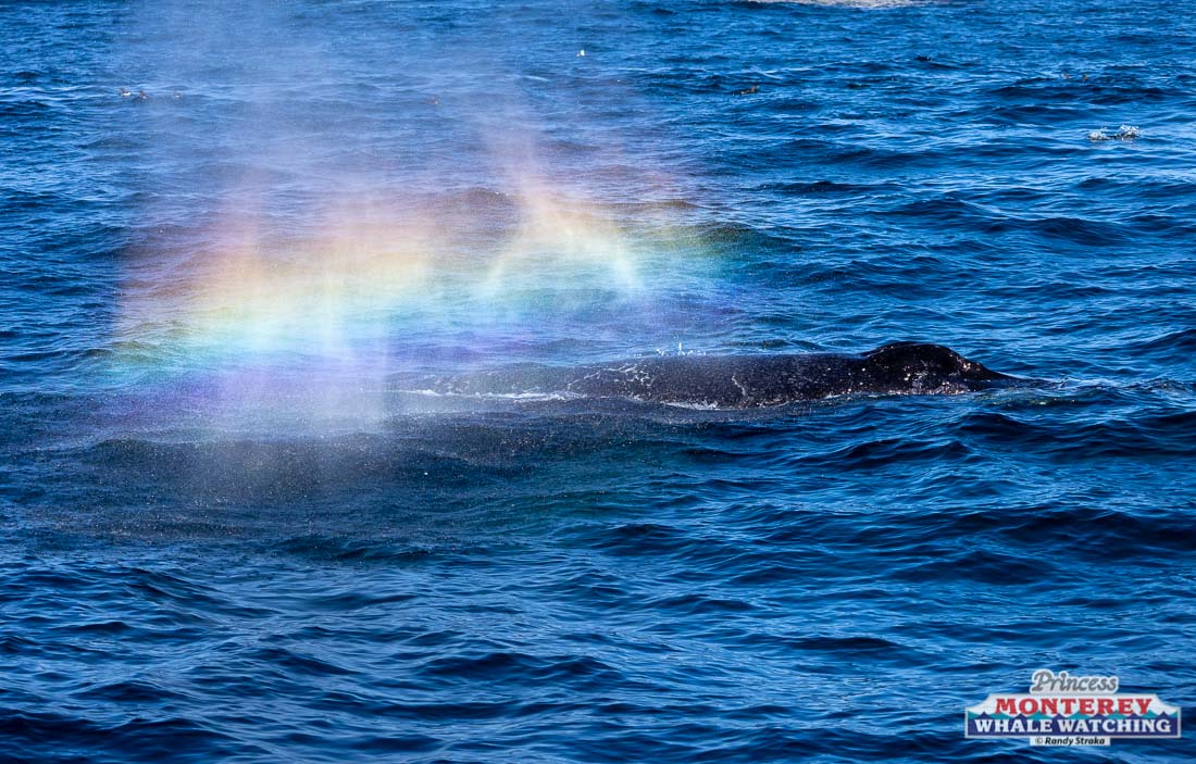 a man riding a wave on top of a body of water