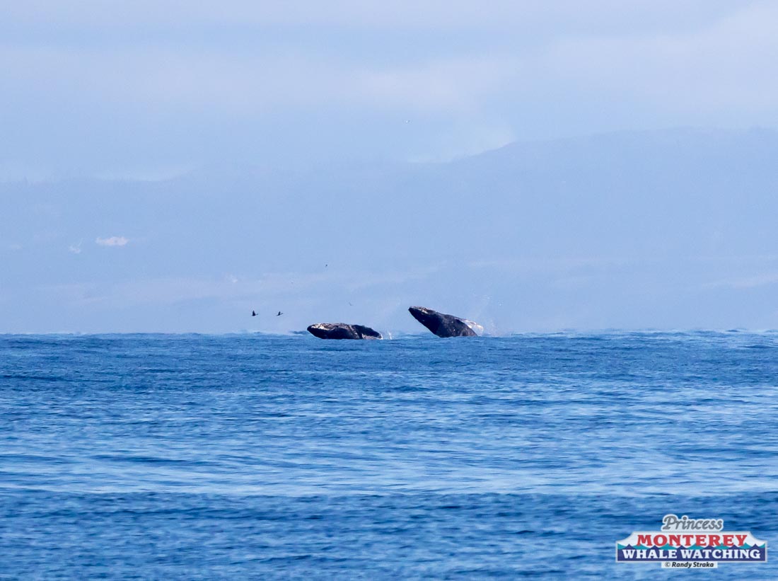 a small boat in a large body of water