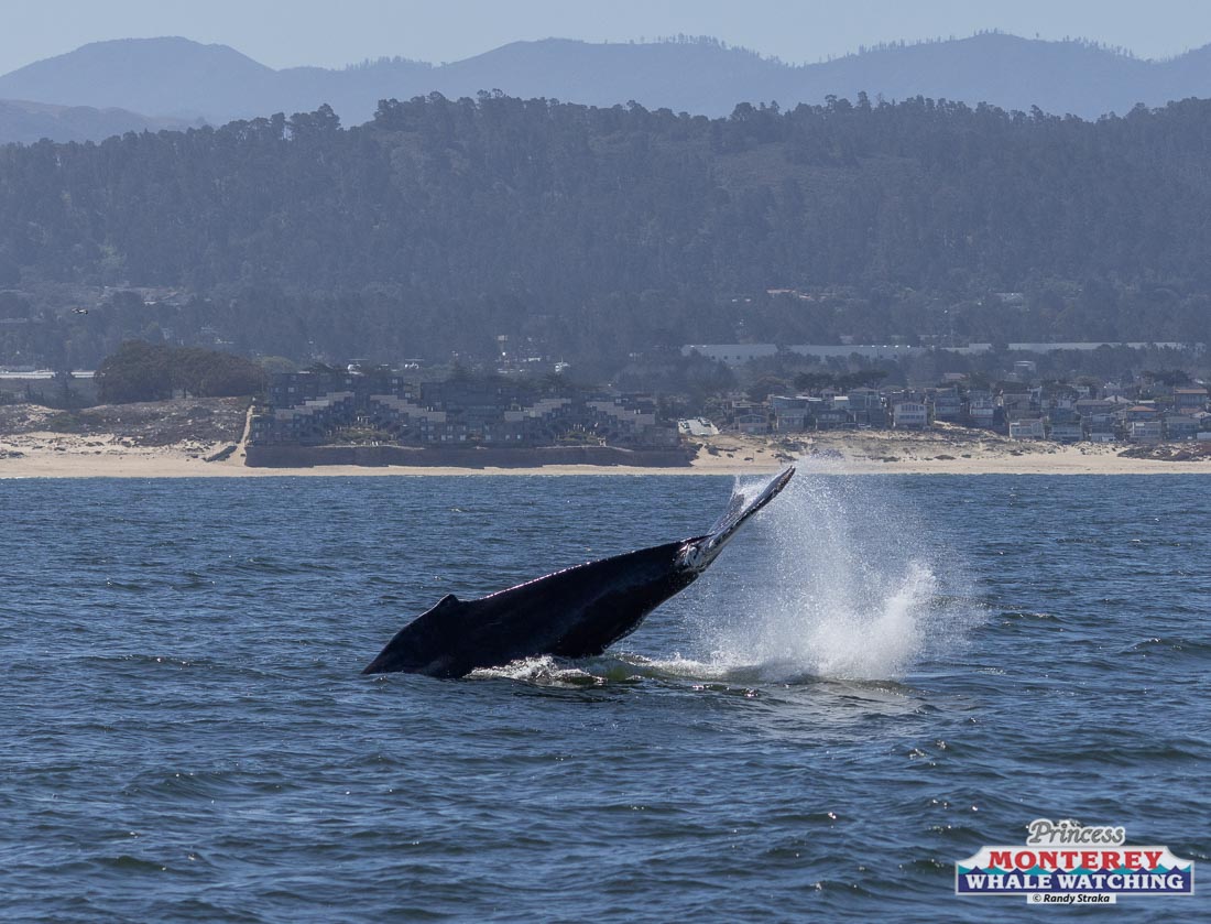 a small boat in a body of water with a mountain in the background