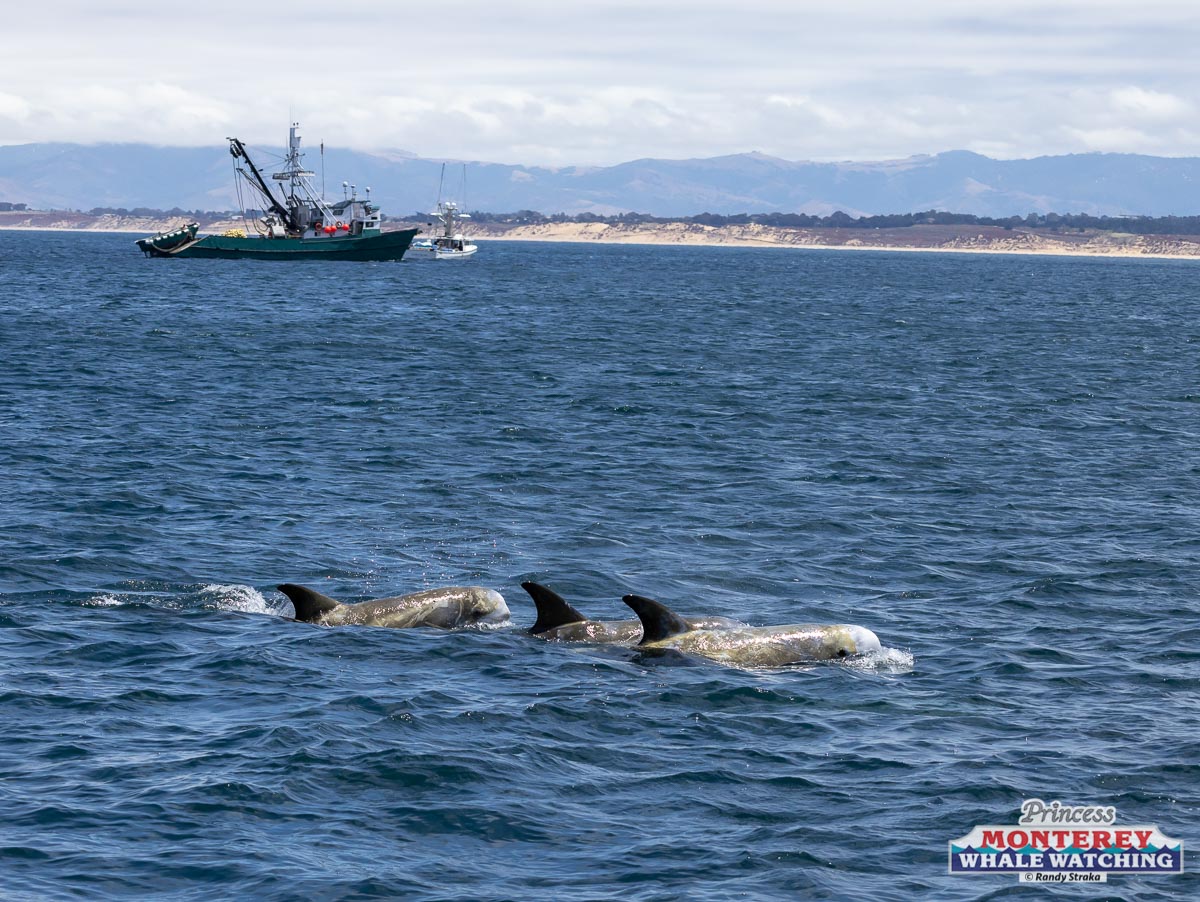 a small boat in a large body of water