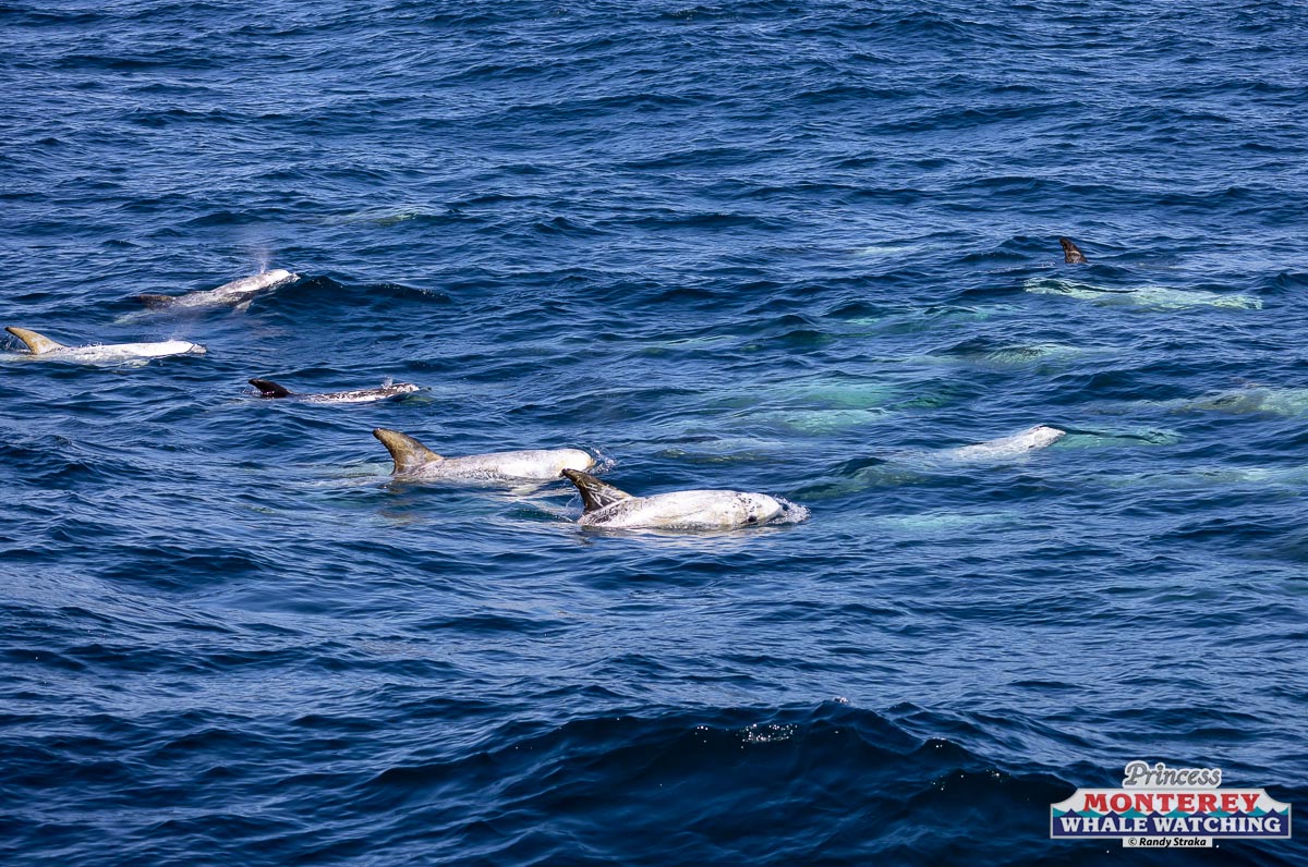 a man riding a wave on top of a body of water