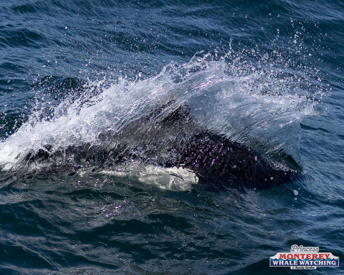 a man riding a wave on a surfboard in the water
