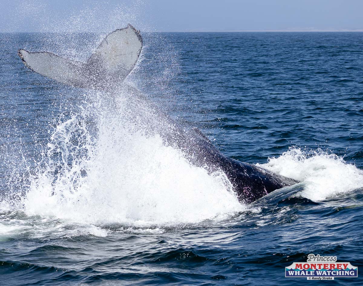 a man riding a wave in the ocean