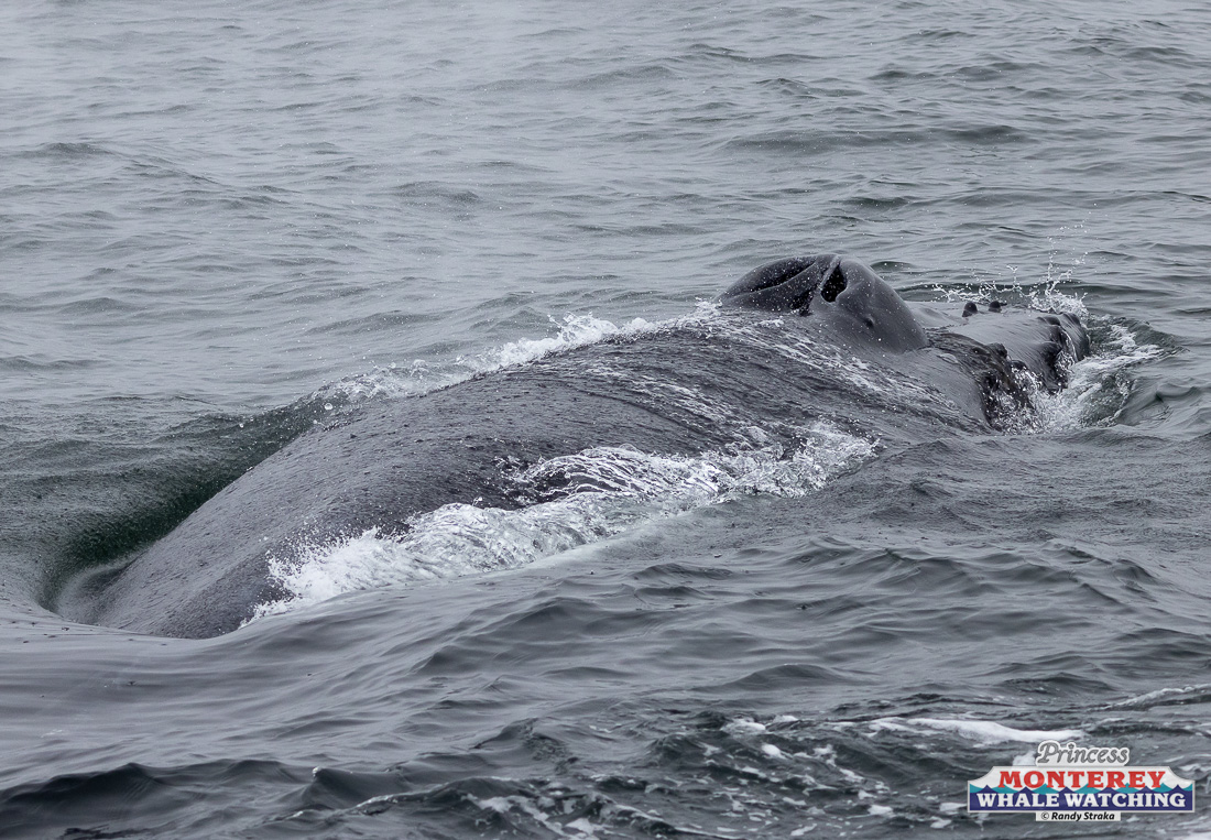 a man riding a wave on a surfboard in the ocean