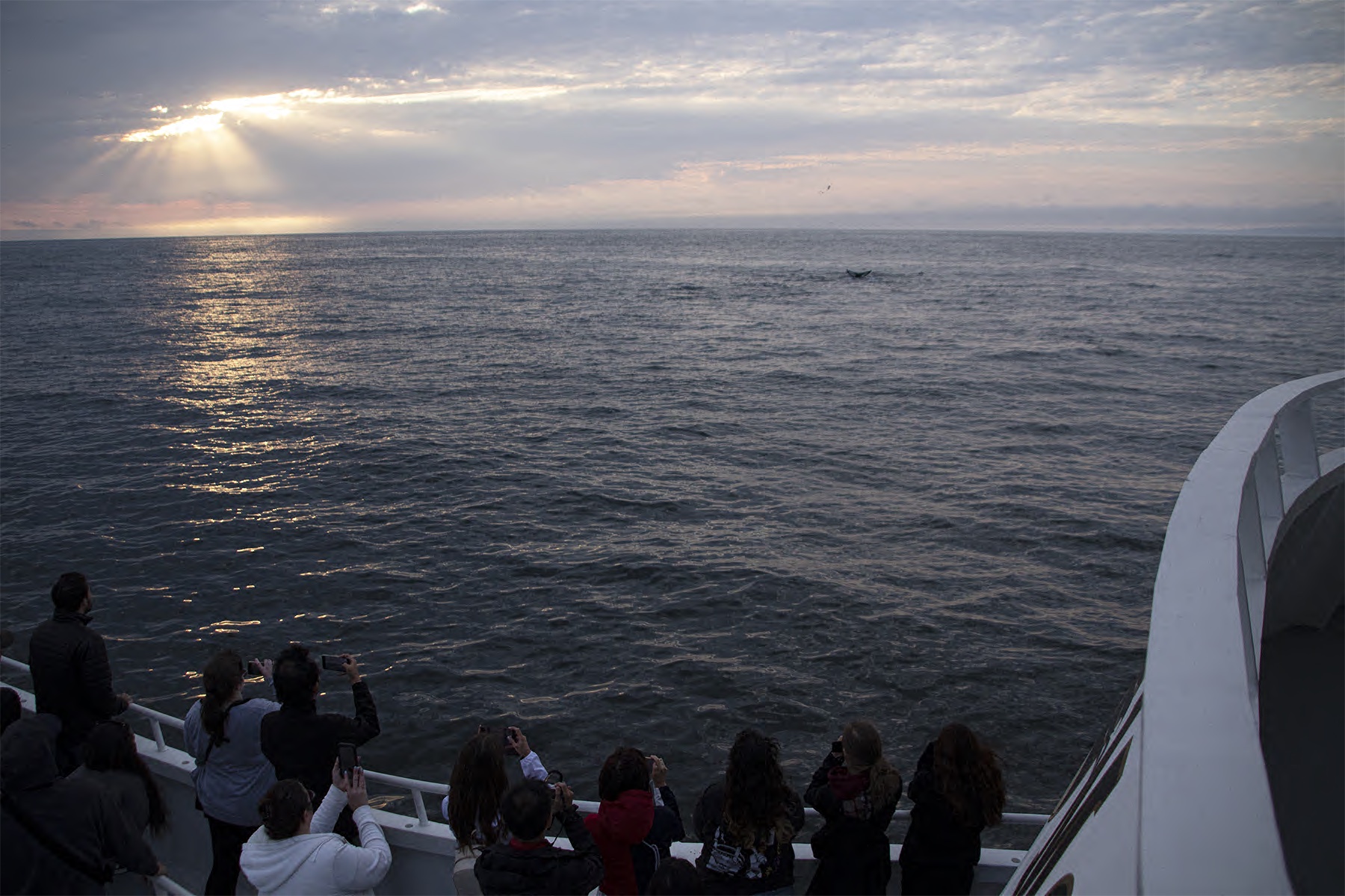 a group of people on a beach near a body of water